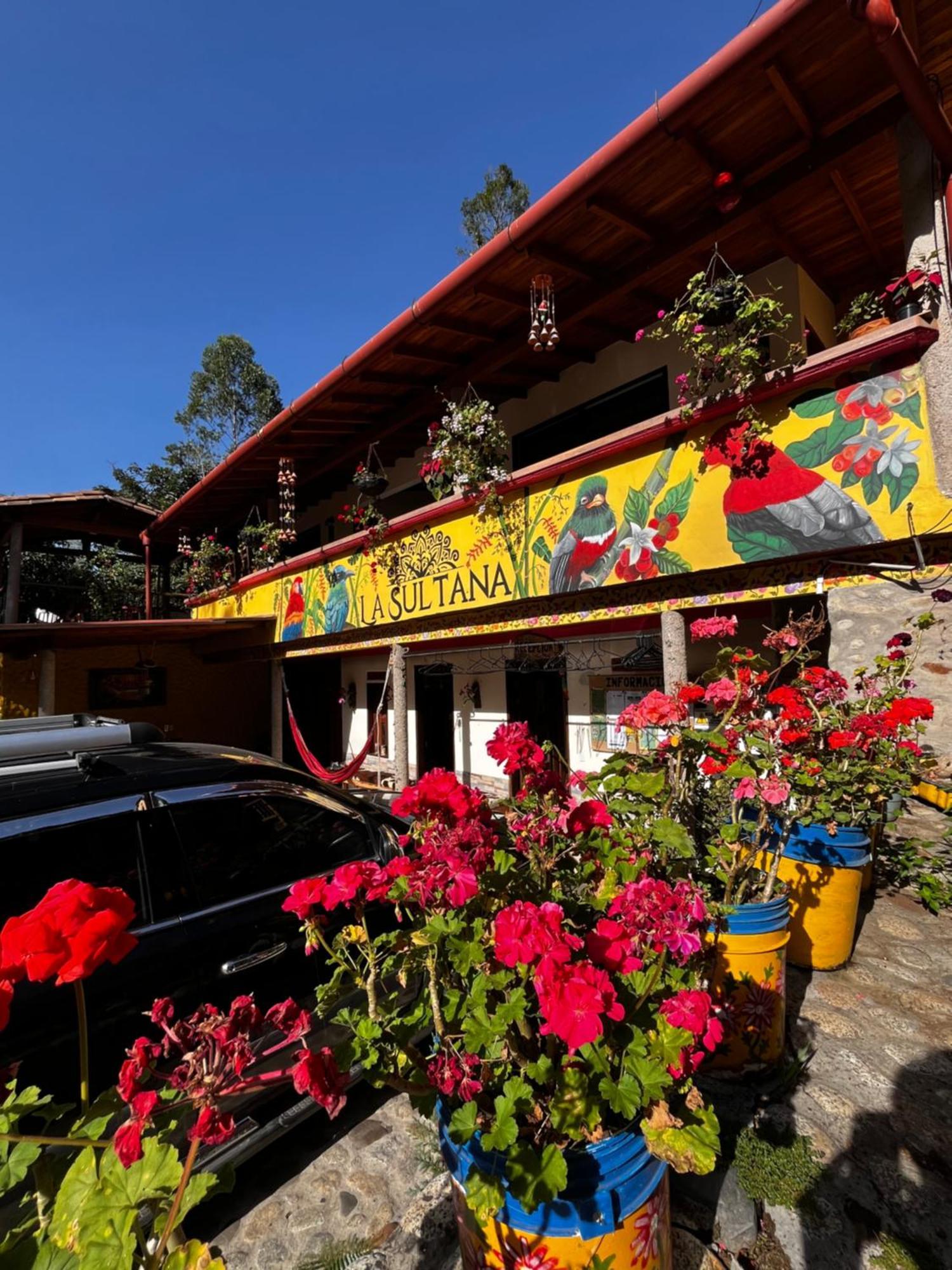 Hotel La Sultana Jardin Bagian luar foto